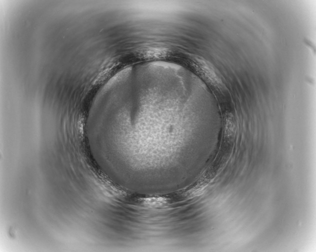 X0000093730363200710301048