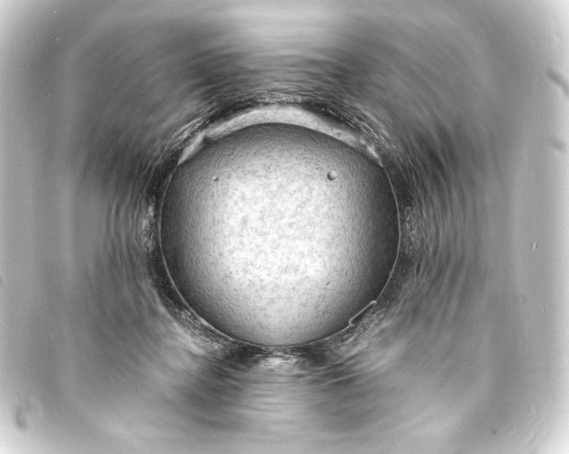 X0000093730364200710301048