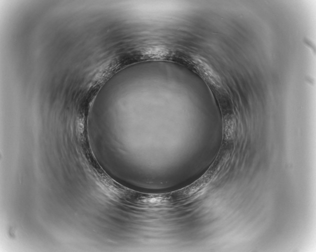 X0000093730365200710301048