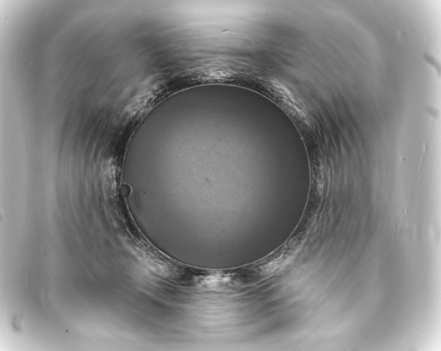 X0000093730366200710301048