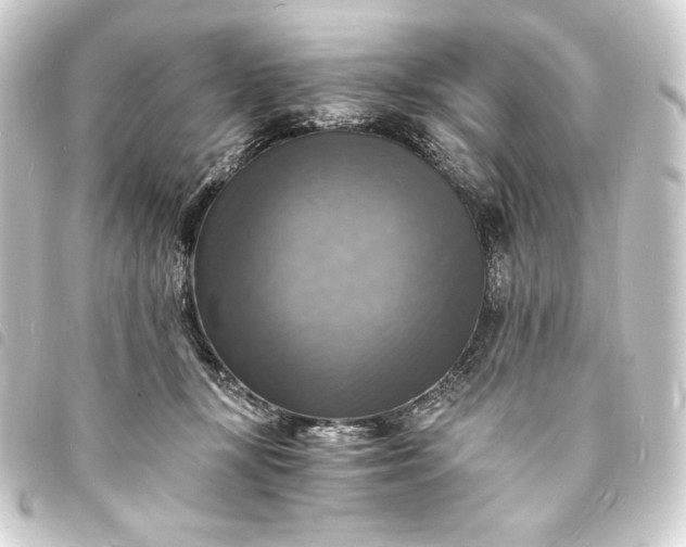 X0000093730367200710301048