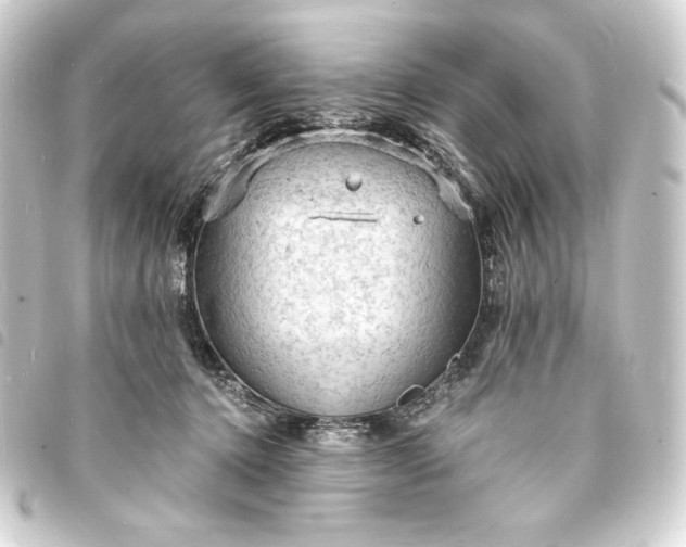 X0000093730368200710301048