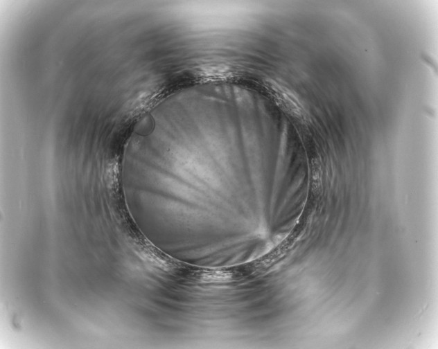 X0000093730369200710301048