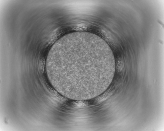 X0000093730370200710301048