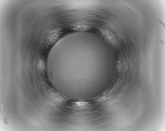 X0000093730371200710301048