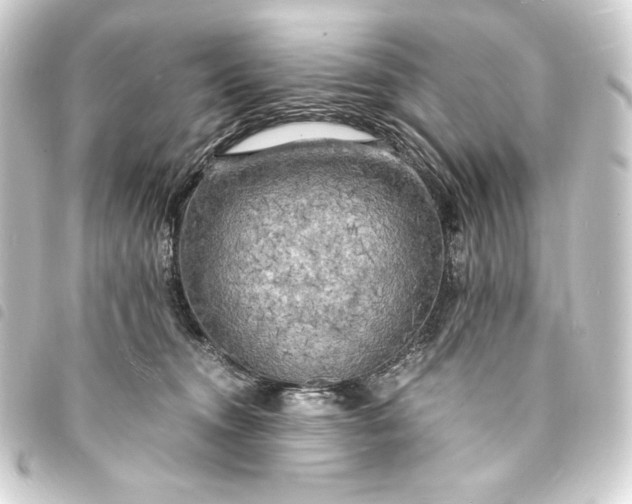 X0000093730372200710301048