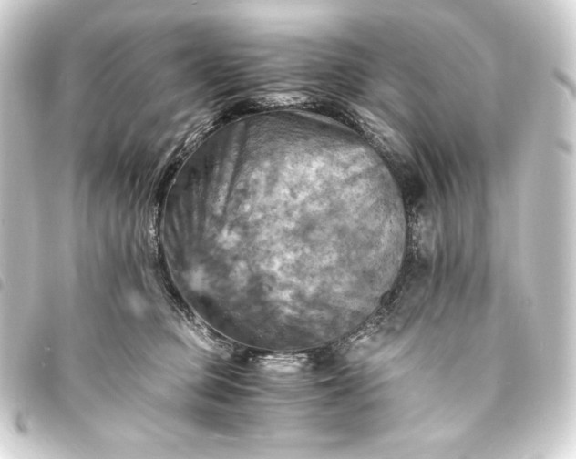 X0000093730373200710301048