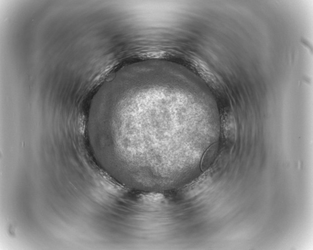 X0000093730374200710301048