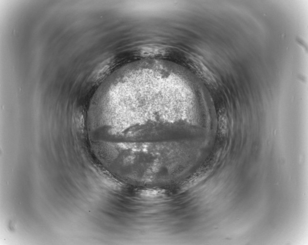 X0000093730375200710301048