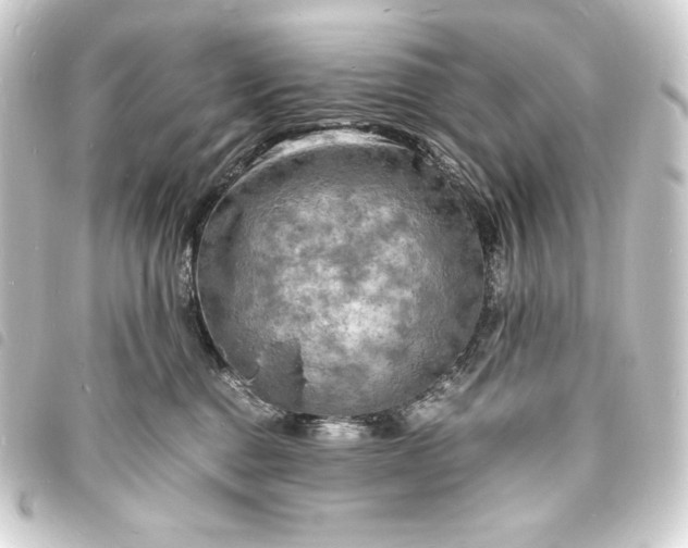 X0000093730376200710301048