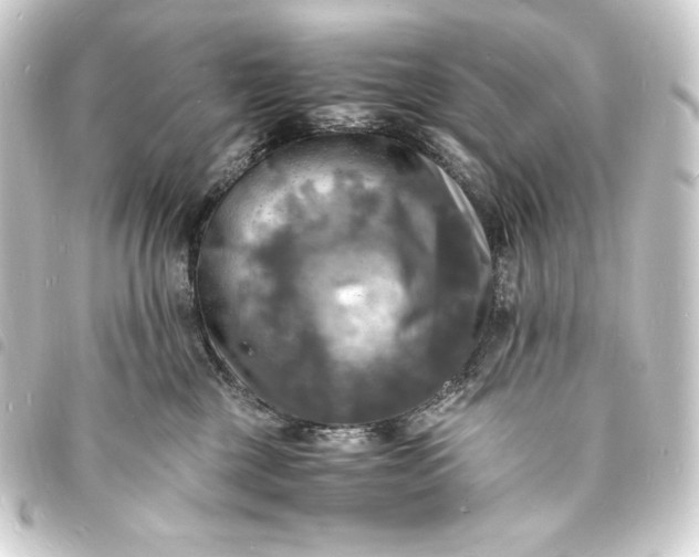 X0000093730377200710301048