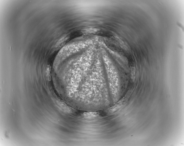 X0000093730378200710301048