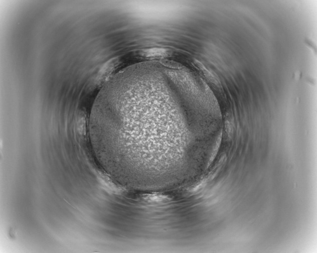 X0000093730379200710301049