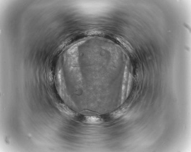 X0000093730380200710301049