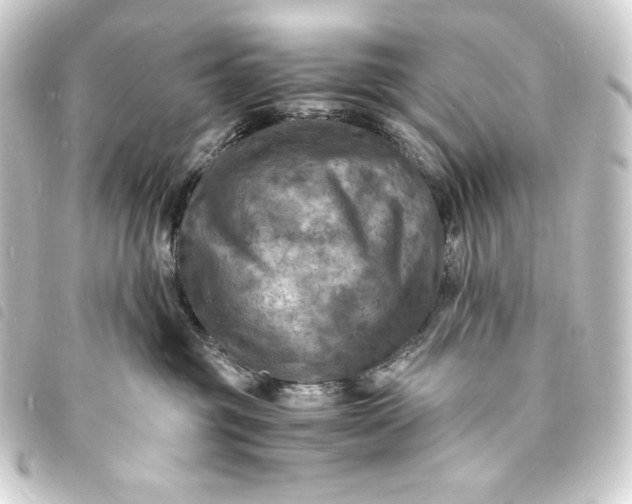 X0000093730381200710301049