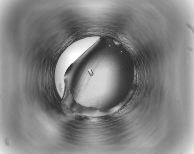 X0000093730382200710301049