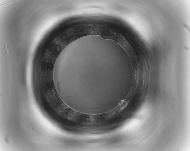 X0000093730383200710301049