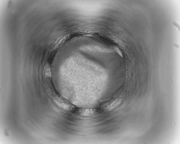 X0000093730384200710301049