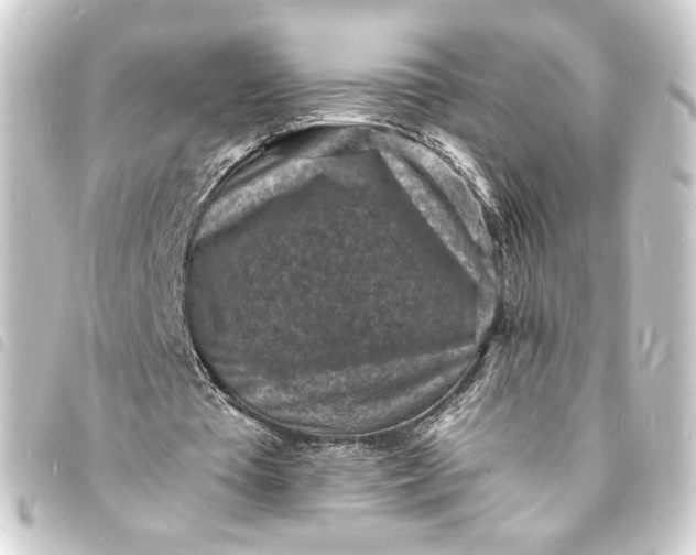 X0000093730385200710301048