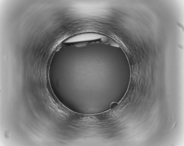 X0000093730386200710301048