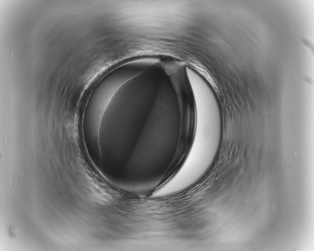 X0000093730387200710301048