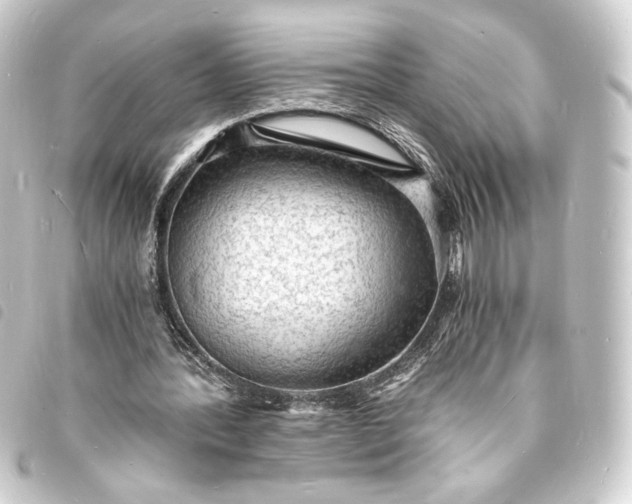 X0000093730388200710301048