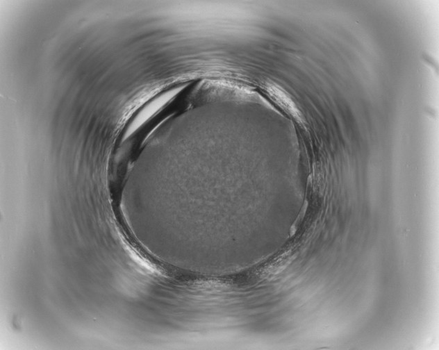 X0000093730389200710301048