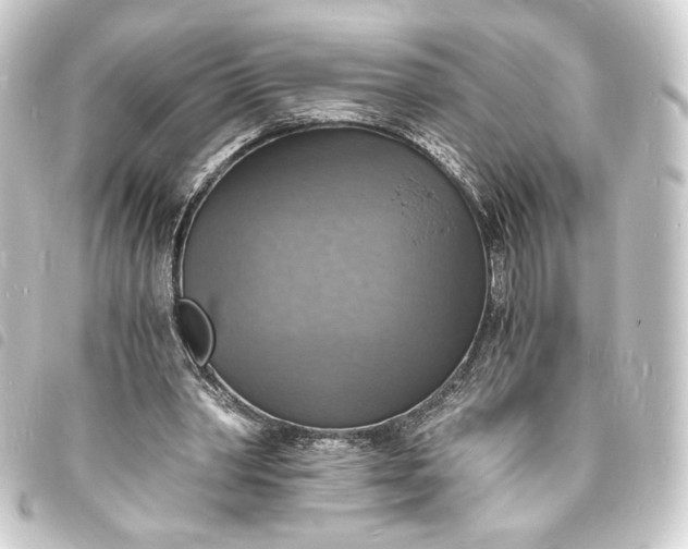 X0000093730390200710301048