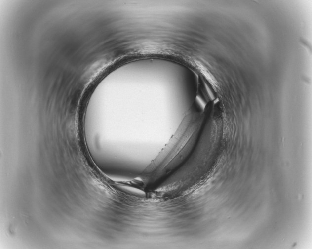 X0000093730391200710301048