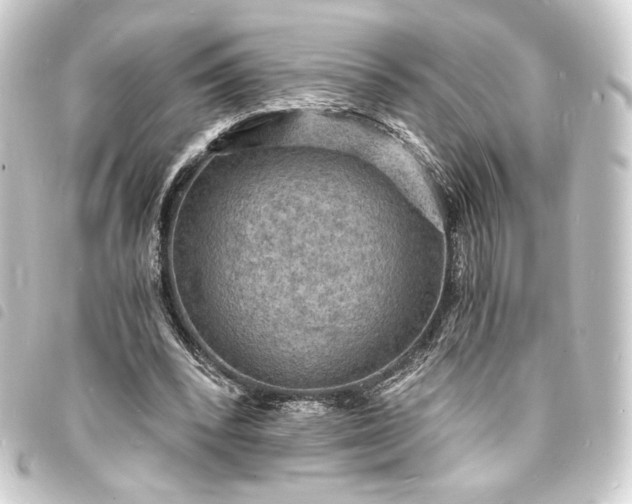 X0000093730392200710301048