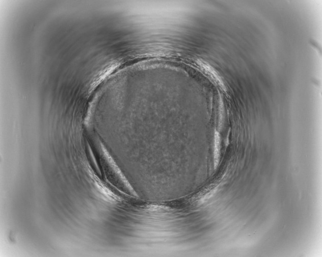 X0000093730393200710301048