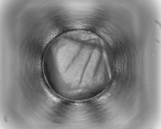 X0000093730394200710301048