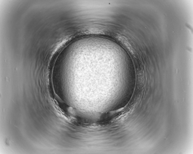 X0000093730395200710301048