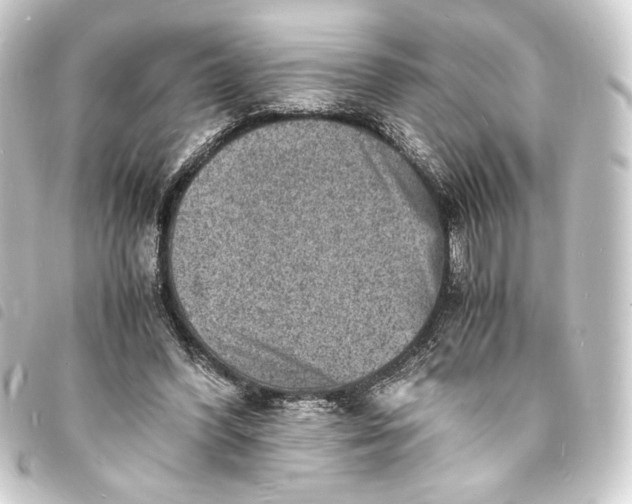 X0000093730396200710301048