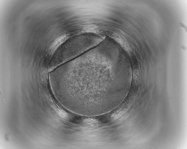 X0000093730397200710301048