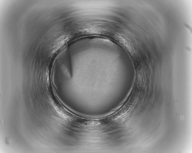 X0000093730398200710301048