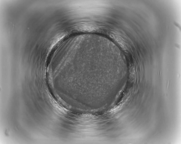 X0000093730399200710301048