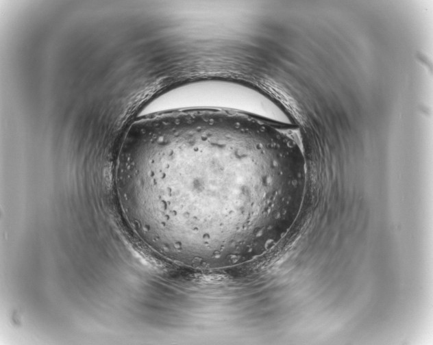 X0000093730401200710301048