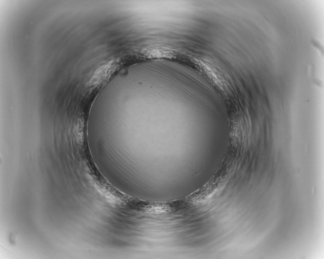 X0000093730402200710301048