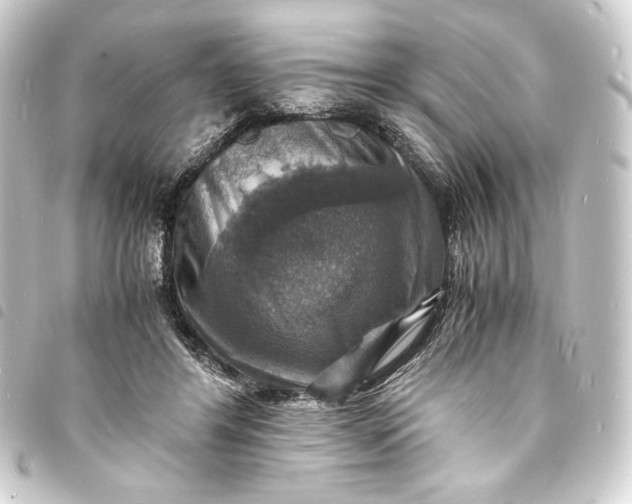 X0000093730404200710301048