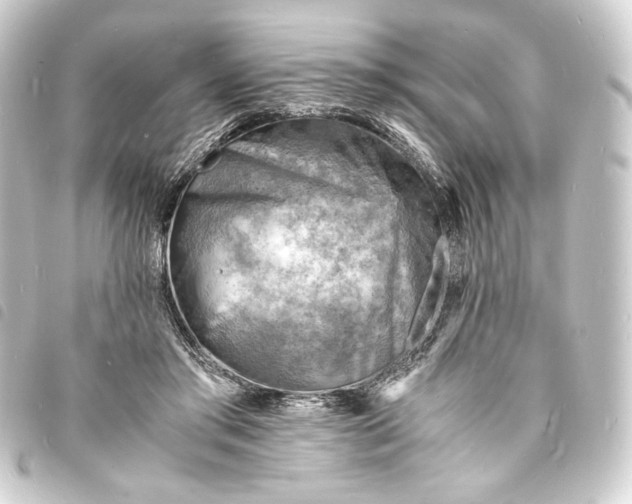 X0000093730405200710301048