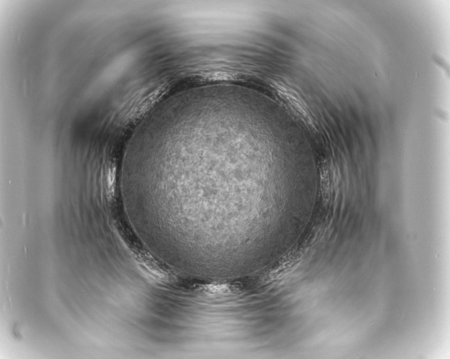 X0000093730406200710301048