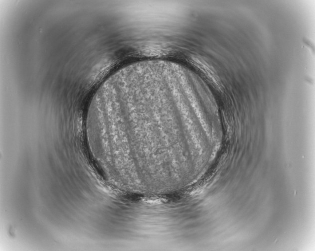 X0000093730407200710301048