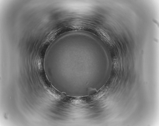 X0000093730408200710301048