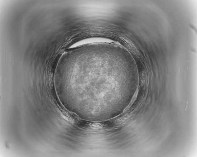 X0000093730409200710301048