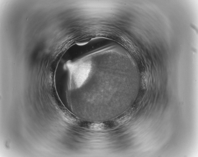 X0000093730410200710301048