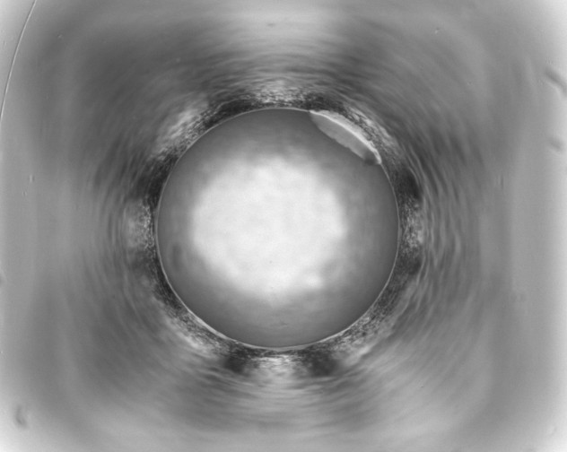 X0000093730411200710301048