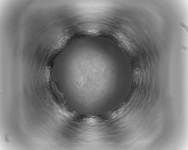 X0000093730412200710301047