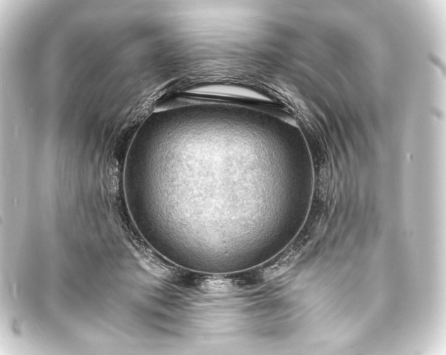 X0000093730413200710301047