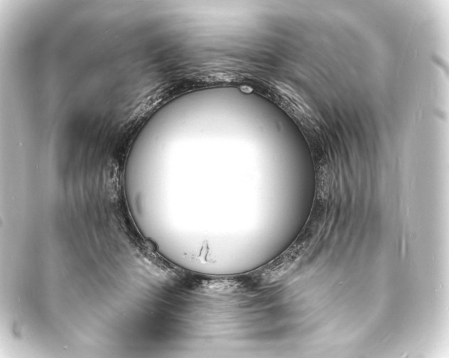 X0000093730414200710301047